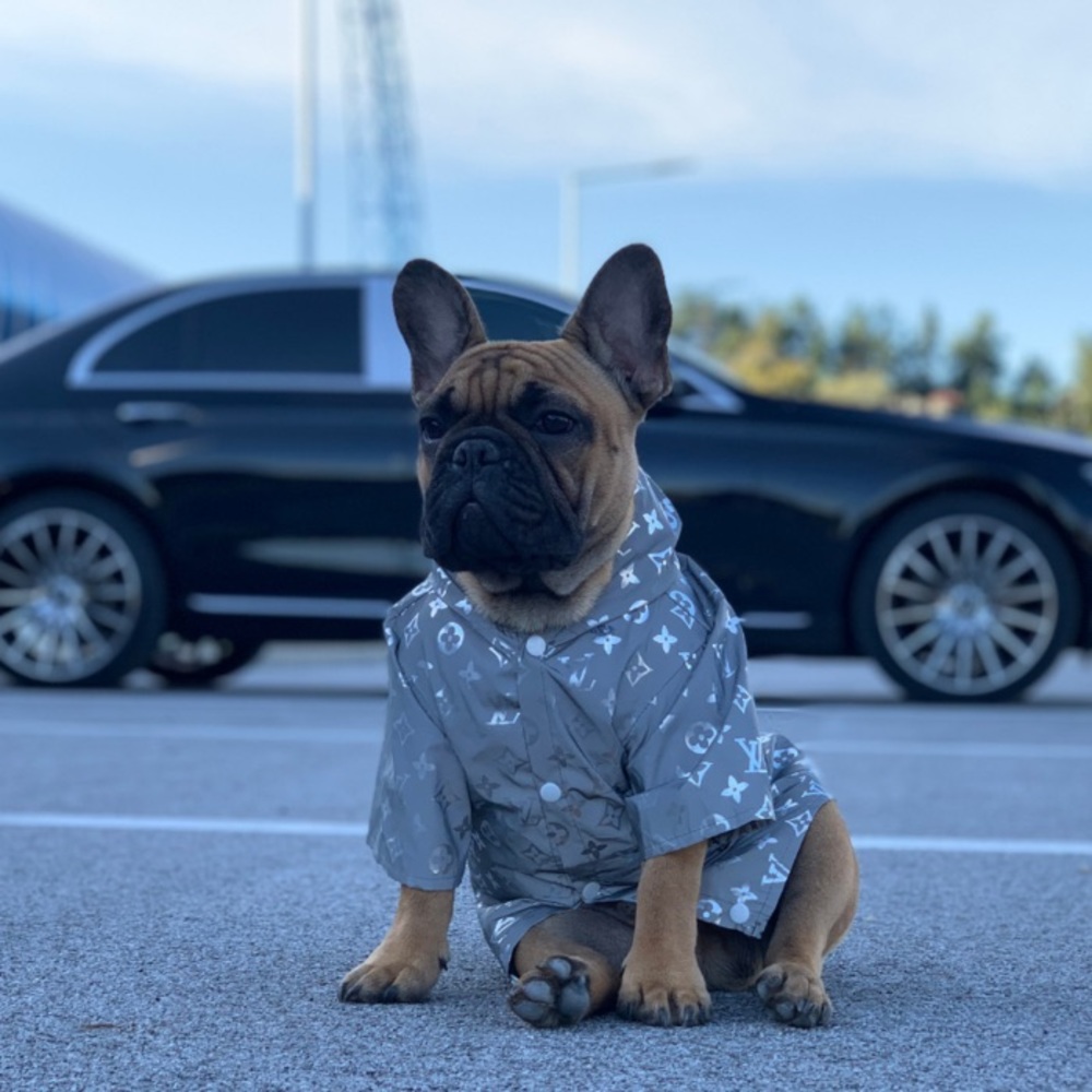 🐶💕Louis Vuitton- Dog Rain Jacket ☔️🐾